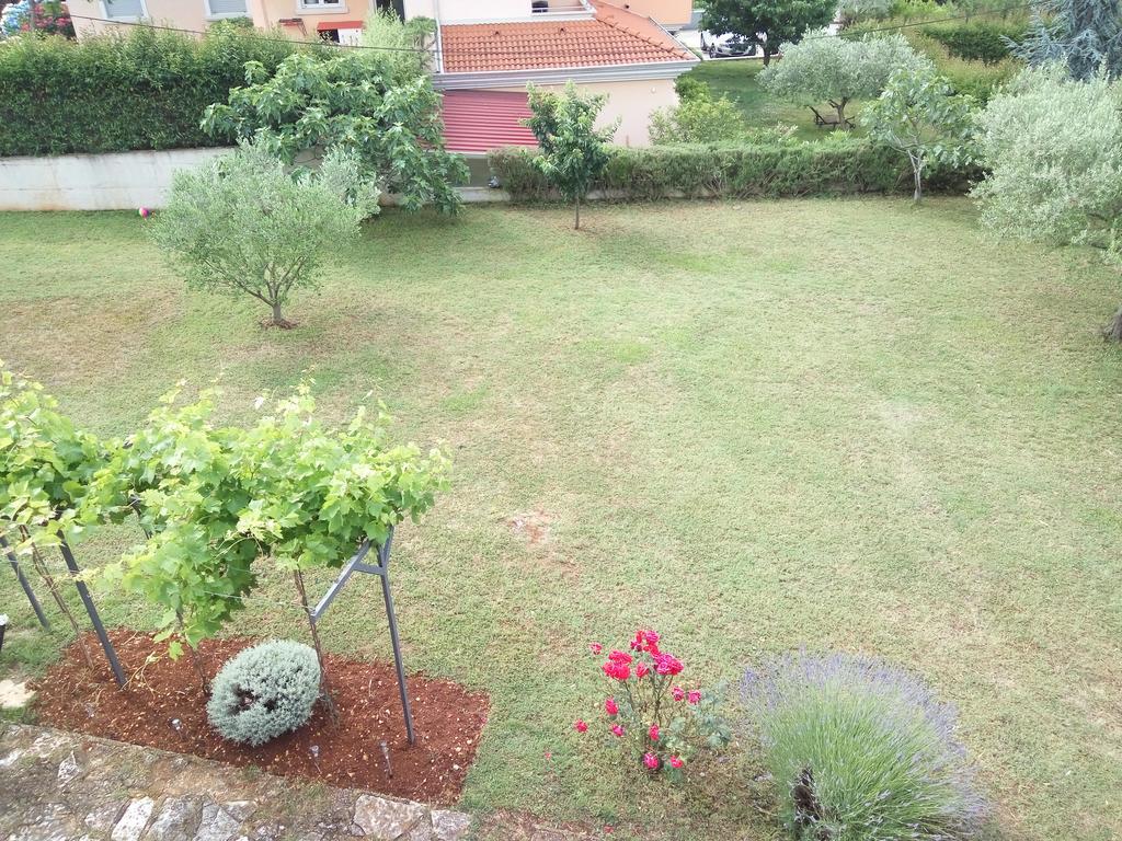 Apartment Asparagus Rovinjsko Selo Luaran gambar